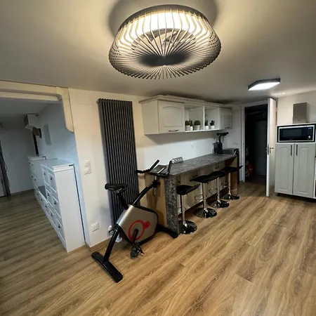 De Luxe - Paris Jo 2024 Séjour chez l'habitant *